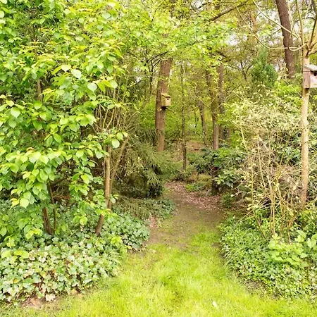 Heerlijk Op Rustig Natuurpark Holiday home Otterlo